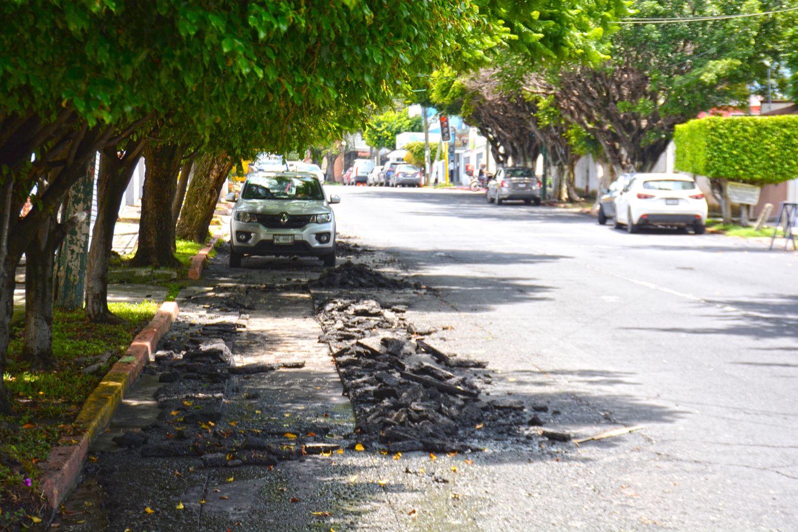 Imagennn de WhatsApp 2024 07 23 a las 21.48.56 a06f3c06