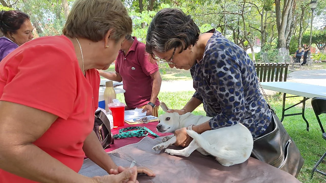 gobierno de jiutepec combate la contaminacion a traves del trueque autosustentable en tu comunidad 2 2024 06 12